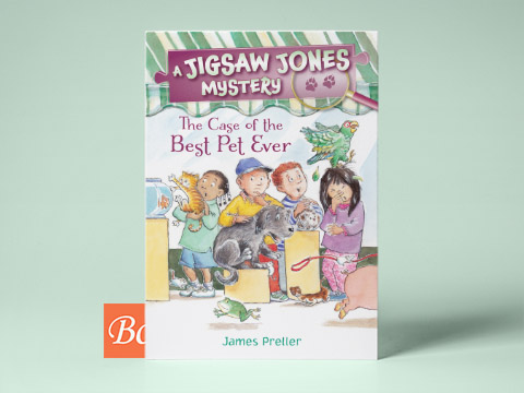 Jigsaw Jones Mysteries系列