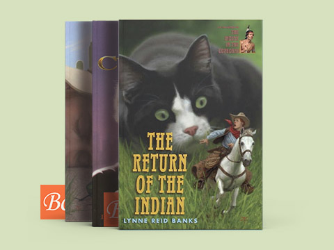 魔柜小奇兵 The Indian in the Cupboard