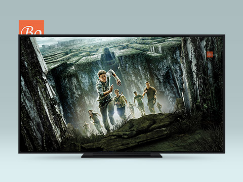 移动迷宫 The Maze Runner 电影 (2014)