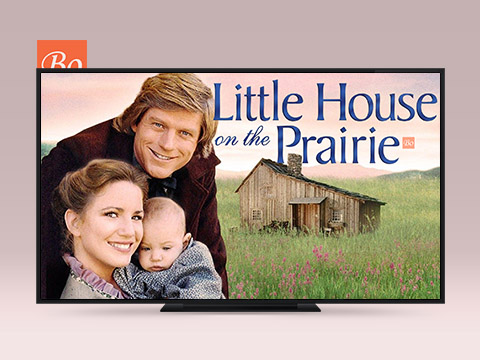 草原上的小木屋电视剧 Little House on the Prairie