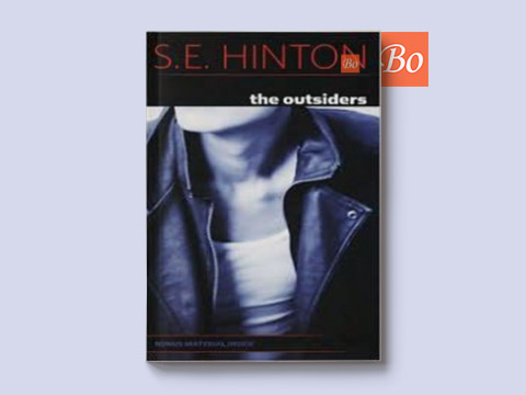 追逐金色的少年 The Outsiders （又译为 小教父）