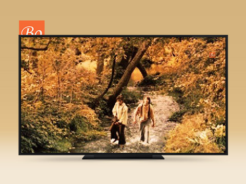 汤姆·索亚与哈克贝利·费恩 Tom Sawyer & Huckleberry Finn 电影 (2014)