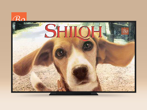 夏伊洛 Shiloh 电影 (1996)