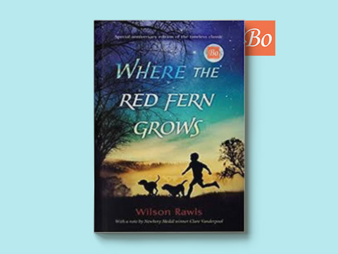 红色羊齿草的故乡 Where The Red Fern Grows
