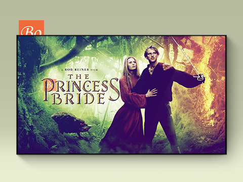 公主新娘 The Princess Bride 电影 (1987)