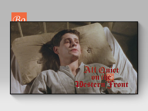 西线无战事 All Quiet on the Western Front 电影 (1979)