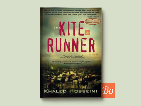 追风筝的人 The kite runner