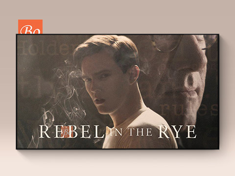 麦田里的叛逆者 Rebel in the Rye 电影 (2017)