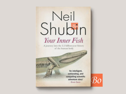 你是怎么来的 Your Inner Fish