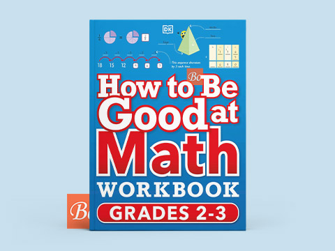 How to Be Good at Math Workbook Grades 2-3