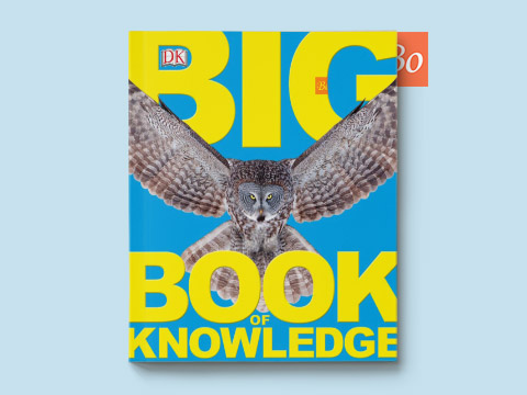 Big Book of Knowledge