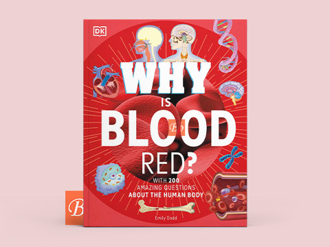 Why Is Blood Red