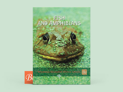 Britannica – Fish and Amphibians