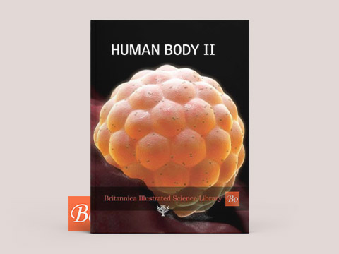 Britannica – Human Body 02
