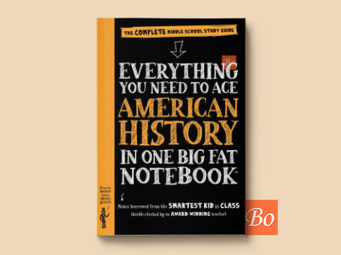 Everything You Need to Ace American History
