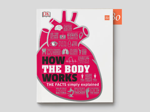 How the Body Works by Editors