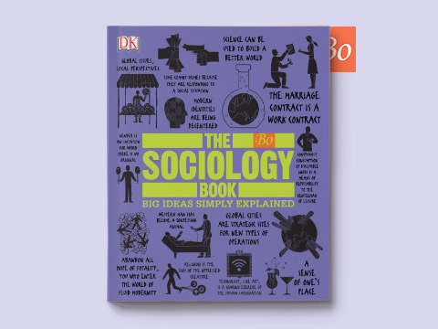 The Sociology Book